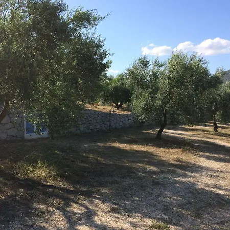 Corrasi