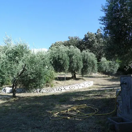 Corrasi